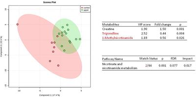 The Clinical Experiences of Urine Metabolomics of Genitourinary Urothelial Cancer in a Tertiary Hospital in Taiwan